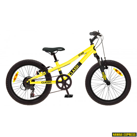 20B-6S-18-560x560.jpg 18 STAR 20 20" dzeltens classic - Image 1