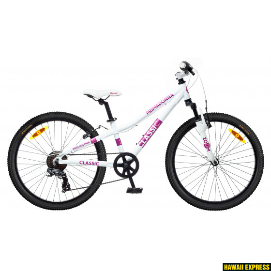 24GA-7S-560x560.jpg 17 PRIMADONNA 24 ALU balts/lillā classic - Image 1