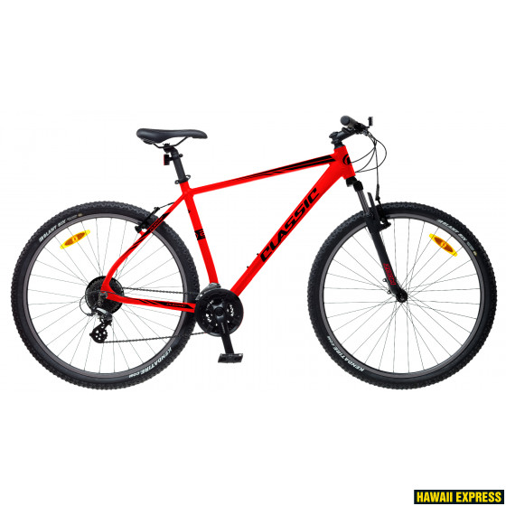 29MA-21S-18-560x560.jpg 18 TEAM 29" 29"/XL sarkans classic - Image 1