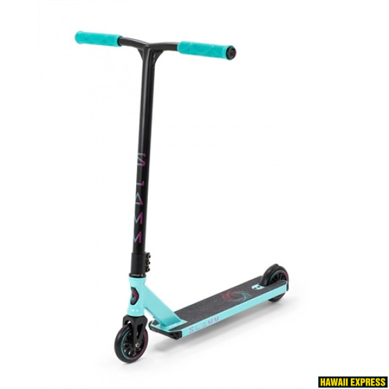 SL1420teal-560x560.jpg URBAN VIII CUSTOM - Image 1