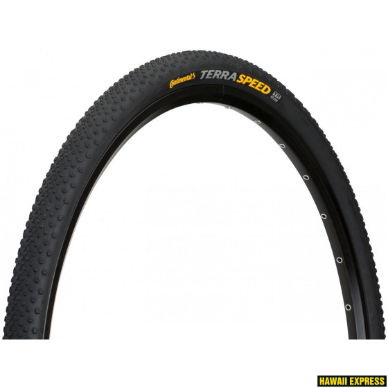 01016940000-560x560.jpg TERRA SPEED PROTECTION 700x40C - Image 1