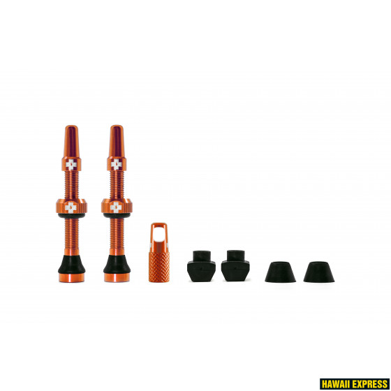 1052-560x560.jpg TUBELESS VALVE KIT 44MM - Image 1