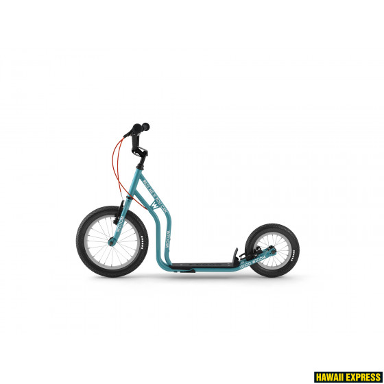 12605-tealblue-560x560.jpg YEDOO WZOOM NEW - Image 1