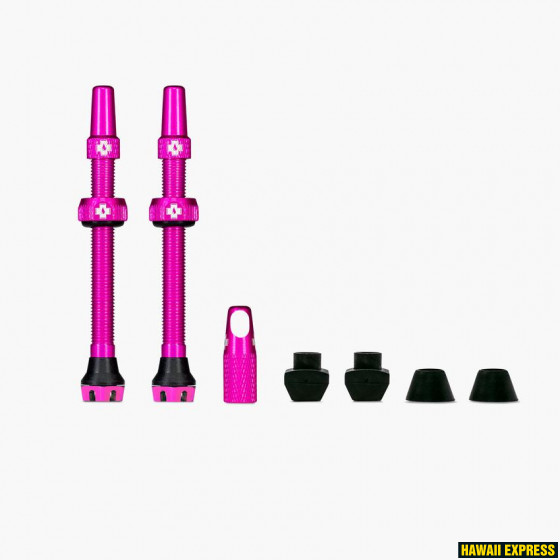20437-560x560.jpg Tubeless Valves/60mm/Pink V2 - Image 1