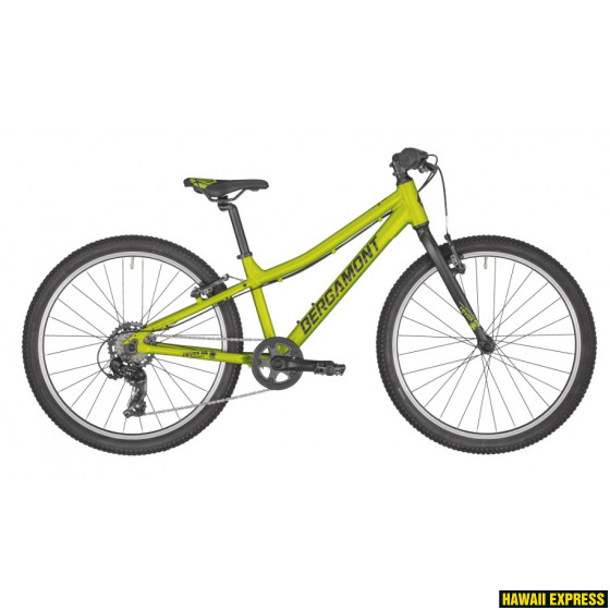 275596-560x560.jpg REVOX 24 LITE - Image 1