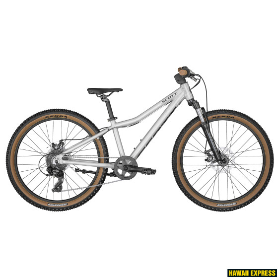 290744-560x560.jpg SCALE 24 DISC SILVER - Image 1