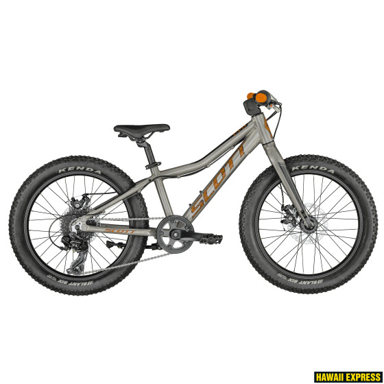 290752-560x560.jpg ROXTER 20 SILVER - Image 1