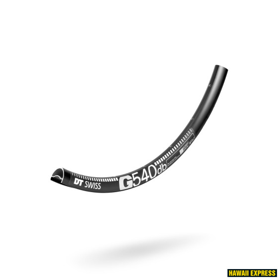 RDG054CDPN32SA0783-560x560.jpg Rim 700cc 32H G540 disc - Image 1