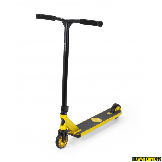 SL1635gold-560x560.jpg ASSAULT V6 - Image 1