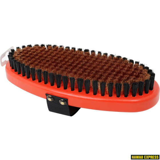 T0158O-560x560.jpg T158O Brush medium coarse Oval - Image 1