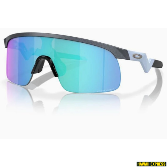 OJ9010-16-560x560.jpg RESISTOR BLUE STEEL w/PRIZM SAPPHIRE - Image 1